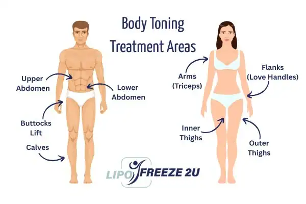 Graphic showing where you can have Body toning Treatment Didcot on your body